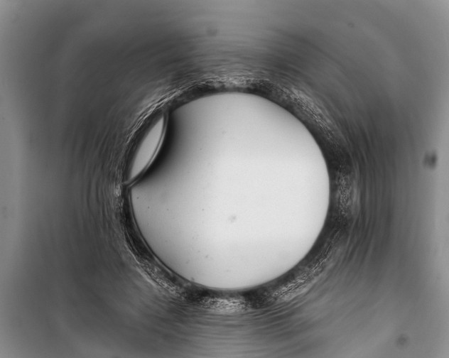 X0000098190548200805151207