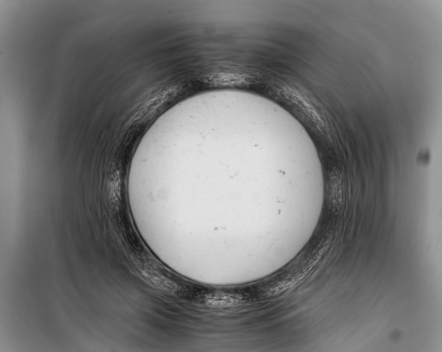 X0000098190549200805151207