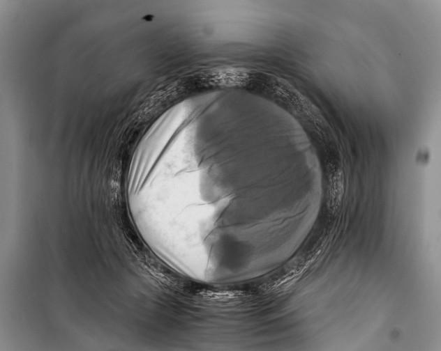 X0000098190553200805151207