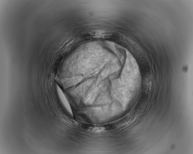 X0000098190554200805151207