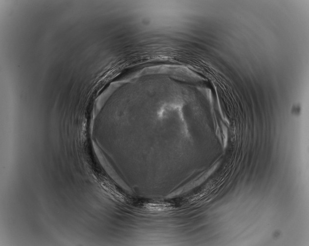 X0000098190556200805151207