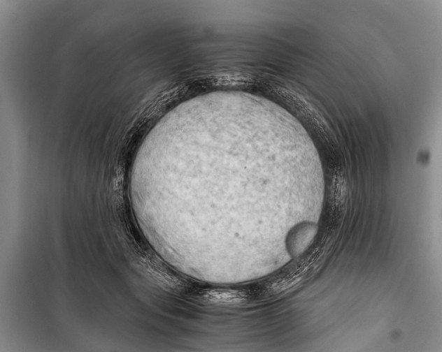 X0000098190557200805151207