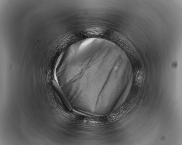 X0000098190559200805151208