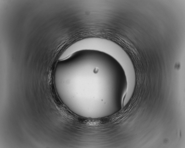 X0000098190560200805151208