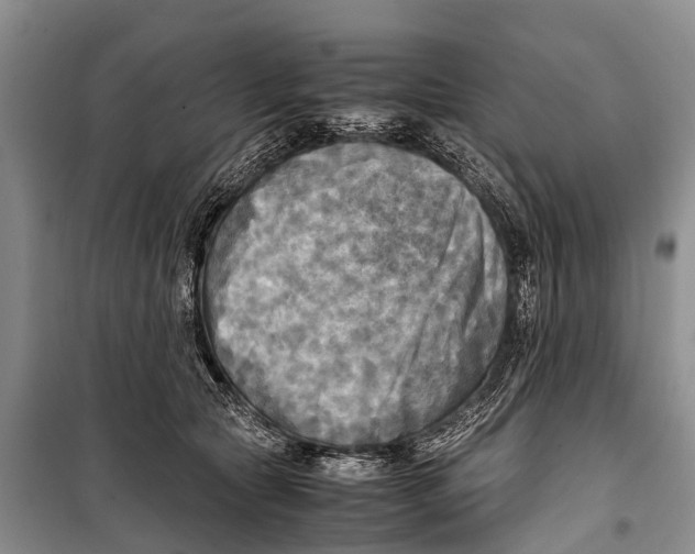 X0000098190561200805151208