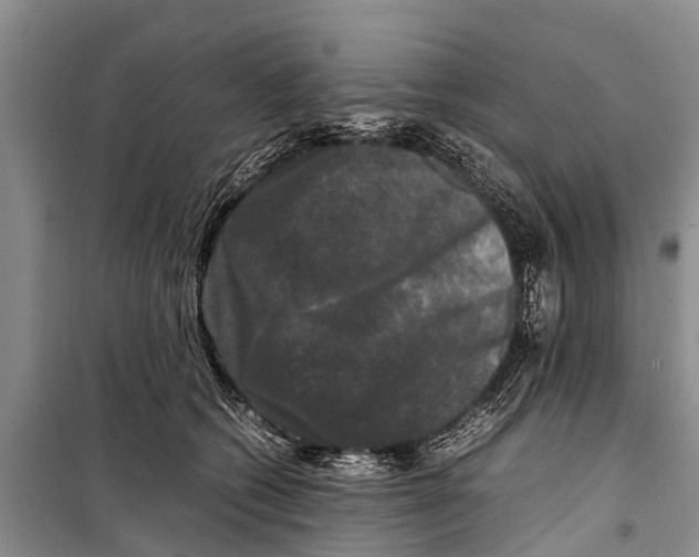 X0000098190562200805151208