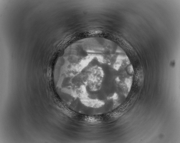X0000098190565200805151208