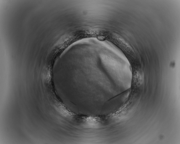 X0000098190566200805151208