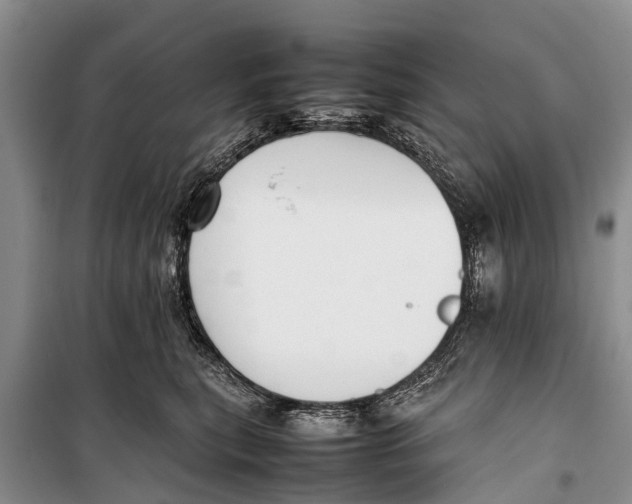 X0000098190567200805151208