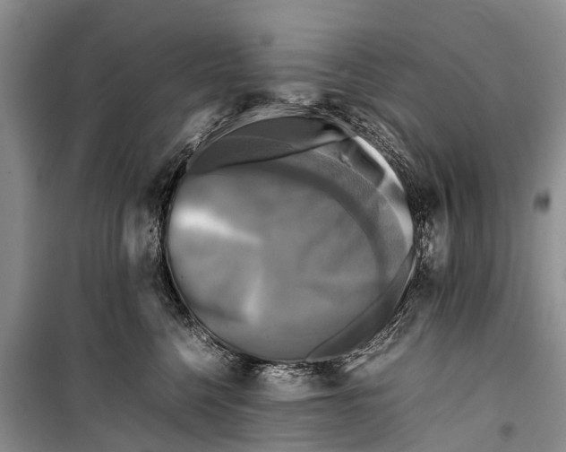 X0000098190568200805151208