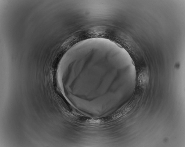 X0000098190570200805151208