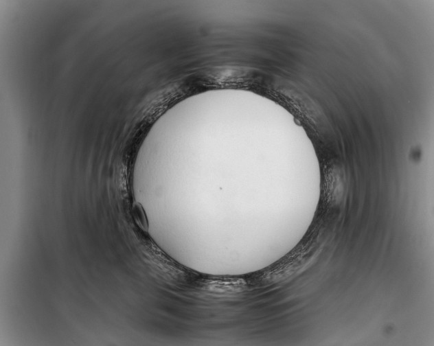 X0000098190571200805151208