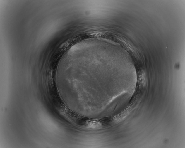 X0000098190572200805151208