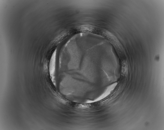 X0000098190573200805151208