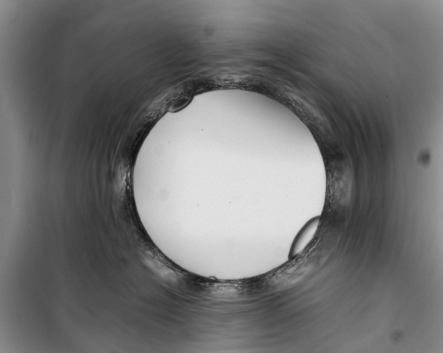 X0000098190574200805151208