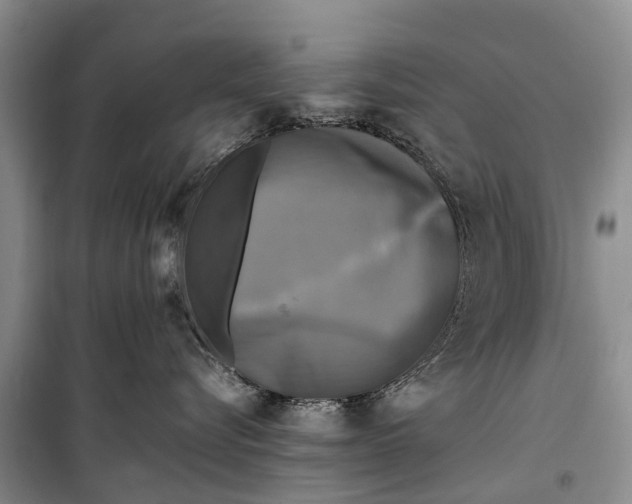 X0000098190576200805151208