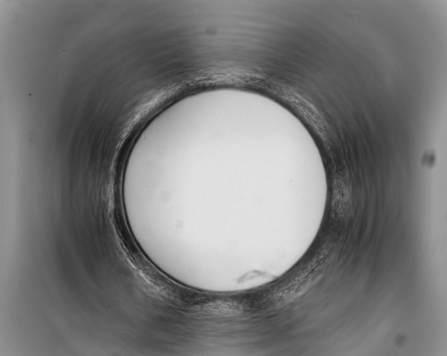 X0000098190578200805151207