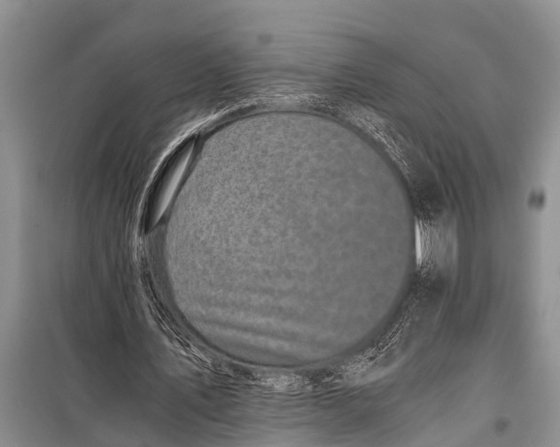 X0000098190579200805151207