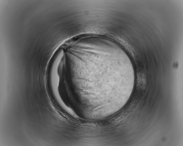 X0000098190580200805151207