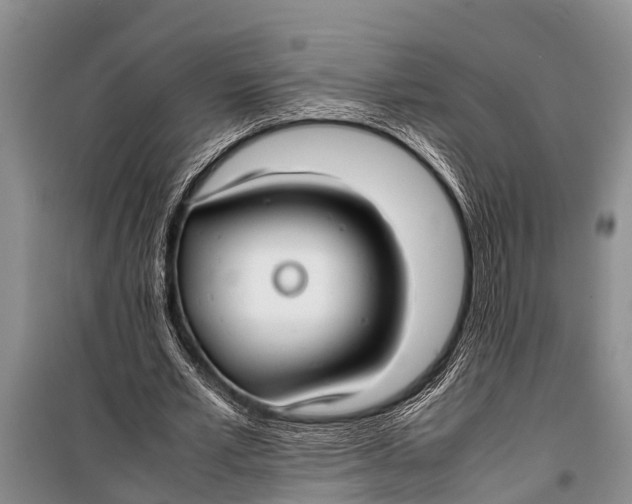 X0000098190581200805151207