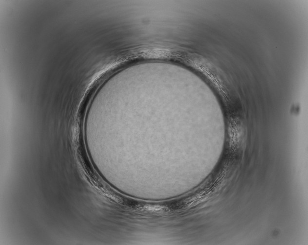 X0000098190583200805151207