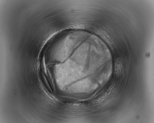 X0000098190584200805151207