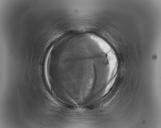 X0000098190585200805151207