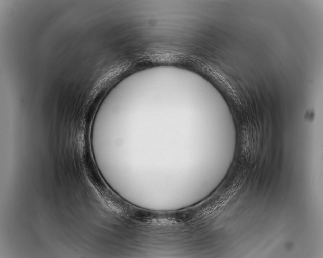 X0000098190586200805151207