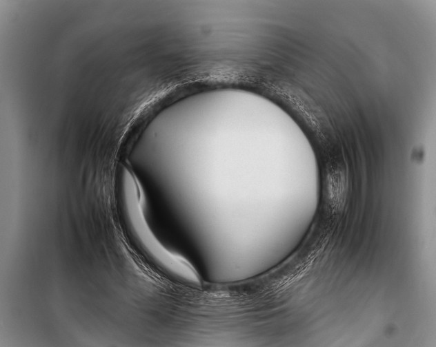 X0000098190588200805151207