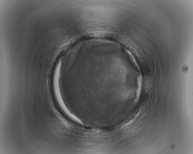 X0000098190589200805151207
