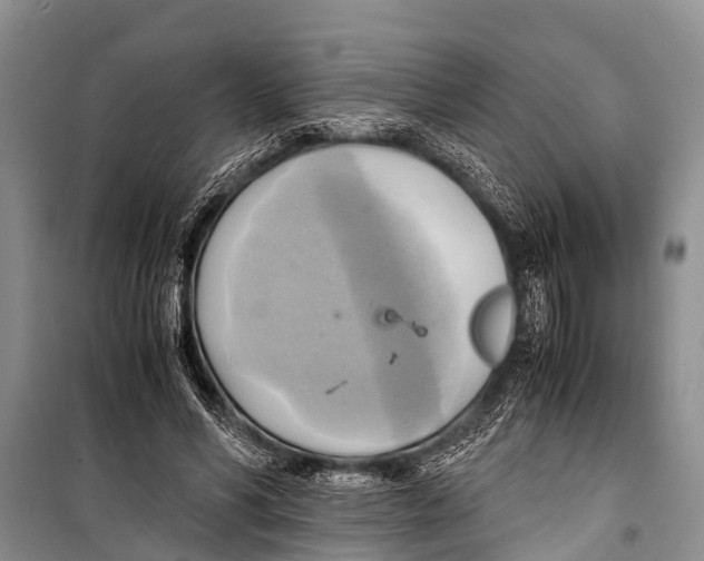 X0000098190590200805151207