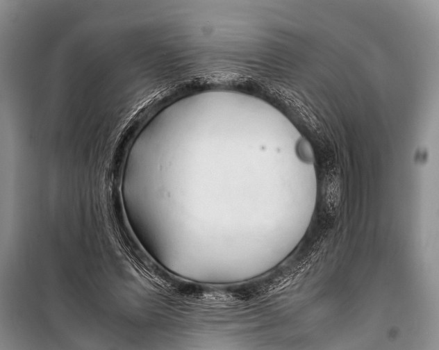 X0000098190591200805151207