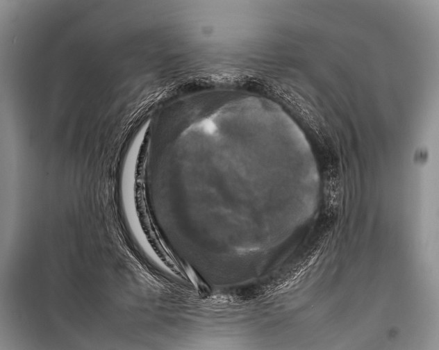 X0000098190593200805151207