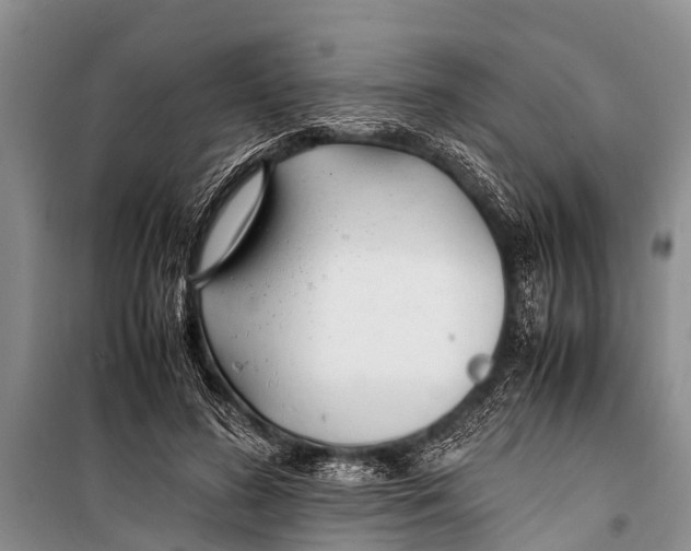 X0000098190596200805151207