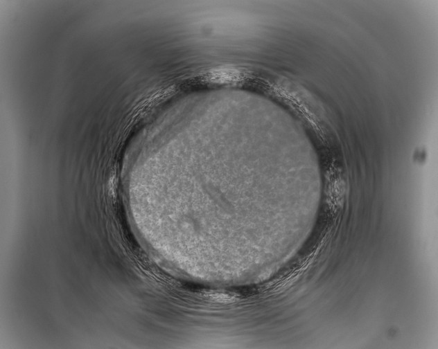 X0000098190597200805151207