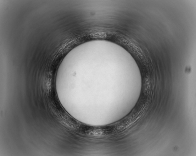 X0000098190600200805151207