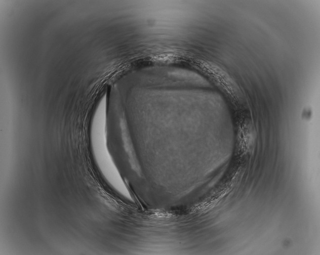 X0000098190601200805151207