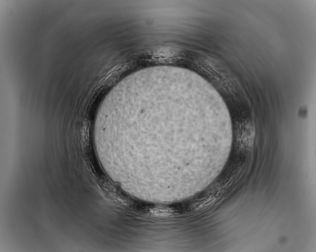 X0000098190603200805151207