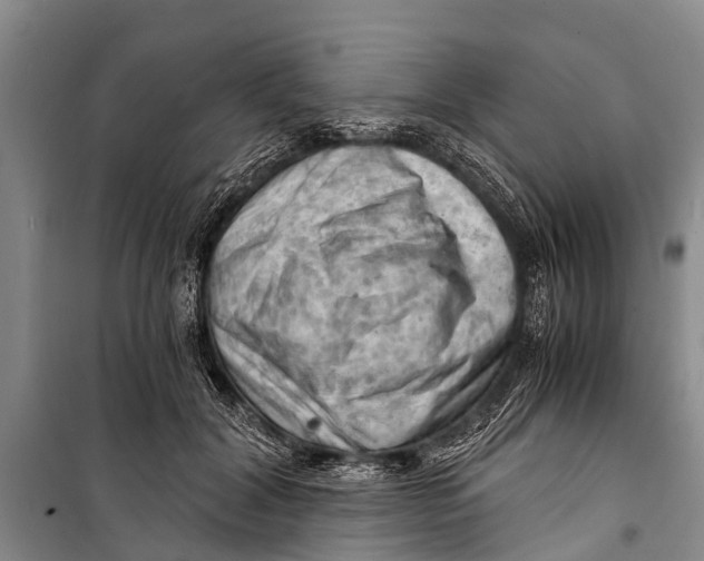 X0000098190604200805151207