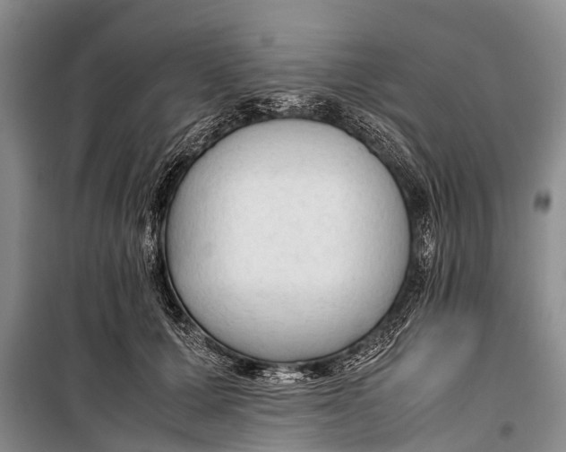 X0000098190607200805151207