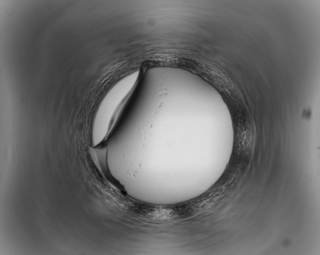 X0000098190609200805151206