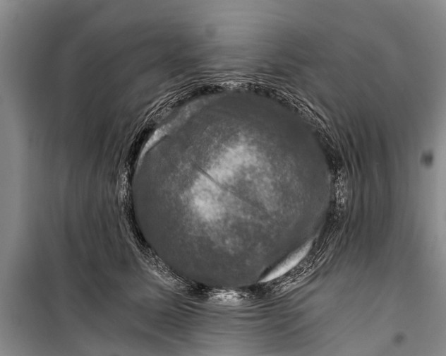 X0000098190611200805151206