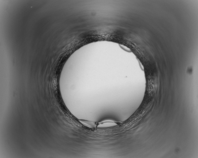 X0000098190613200805151206