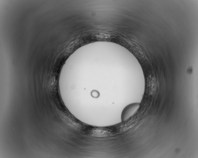 X0000098190614200805151206