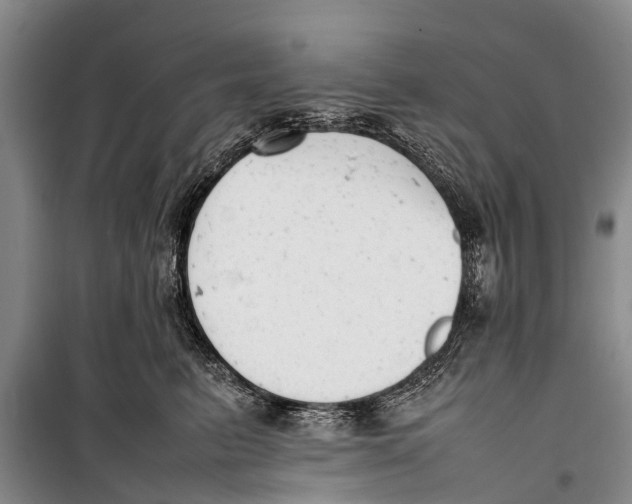 X0000098190615200805151206