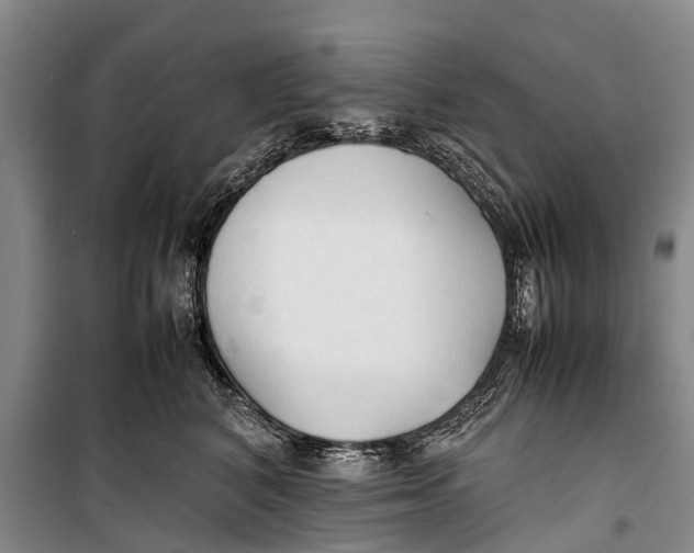 X0000098190616200805151206