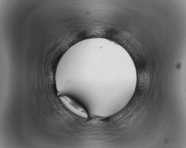 X0000098190617200805151206