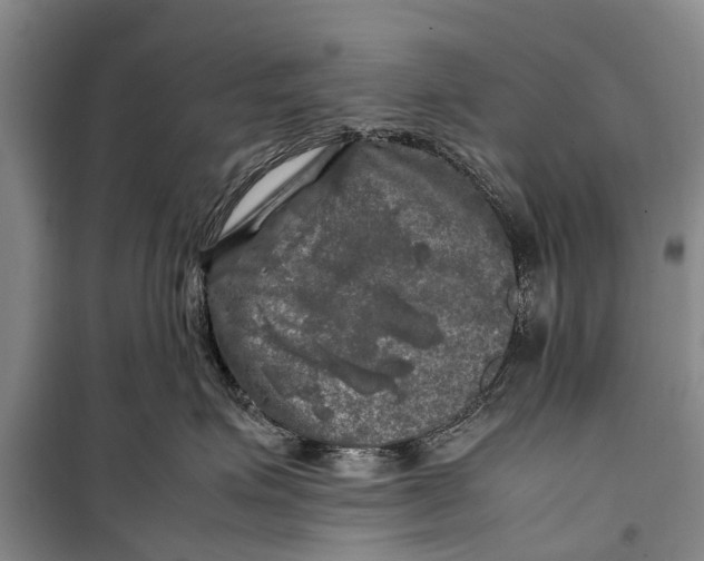 X0000098190623200805151206