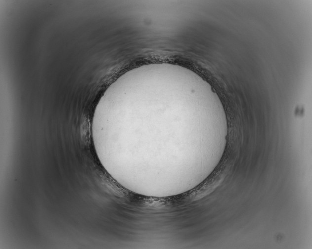 X0000098190624200805151206