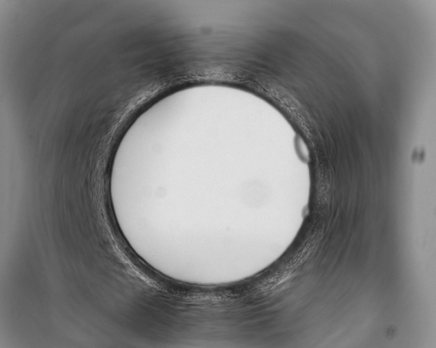 X0000098190625200805151206